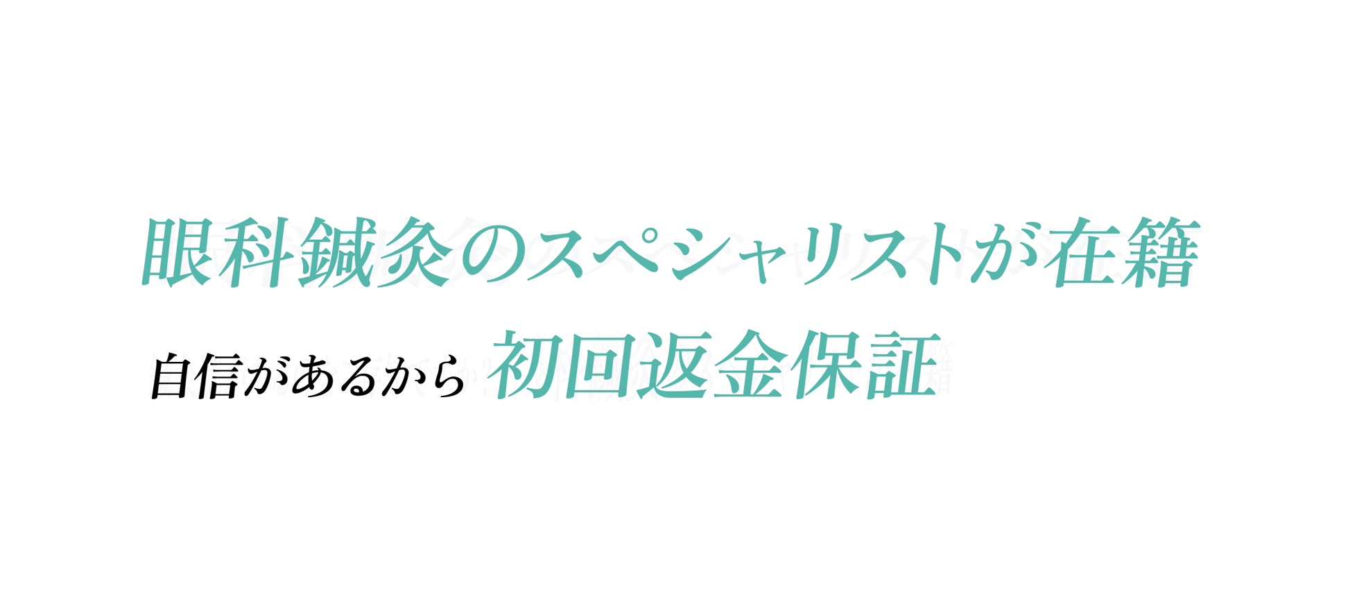 
									全員国家資格保有者
									眼科鍼灸のスペシャリストが多数在籍