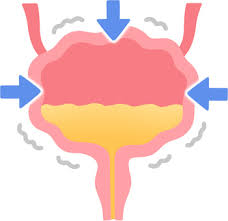 【吉祥寺 過活動膀胱 鍼灸】頻尿、尿意切迫感、夜間頻尿でお悩みの方へ